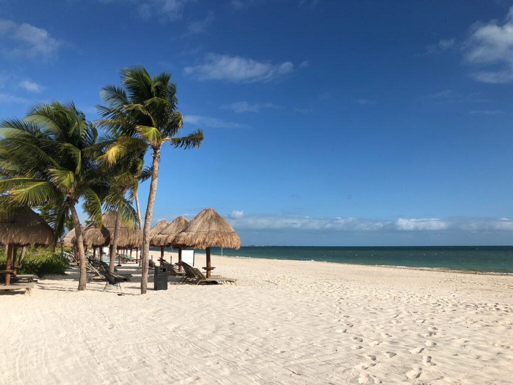 An empty sandy beach with the palm trees in Cancun, Mexico (horizontal photo)
